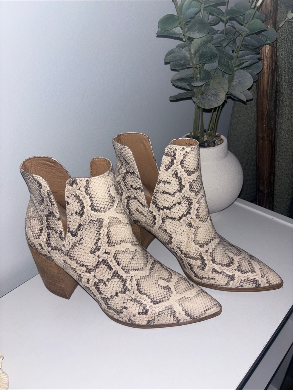 Steve Madden Cream Snake-Print Ankle Boots